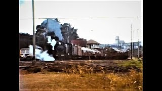 Healesville Steam Goods re enactment with K184 1960s shunting at Lilydale [upl. by Ettenav]