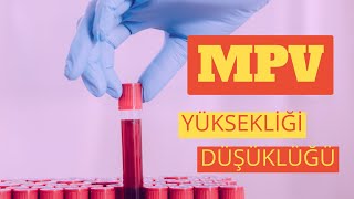 Kan Sayımı MPV  MPV Yüksekliği ve Düşüklüğü Nedenleri Nelerdir [upl. by Tann]