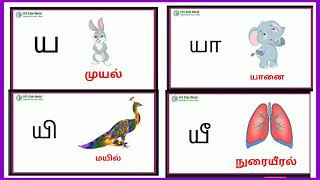 ய வரிசை சொற்கள்  தமிழ் ய வரிசை சொற்கள் ய யா யி யீ [upl. by Alexandrina156]