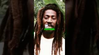 Bunny Wailer The Heart of Reggae Music [upl. by Poulter]