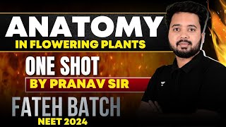 Anatomy in Flowering Plants  ONE SHOT  FATEH BATCH  NEET 2024 neet2024 [upl. by Irotal123]