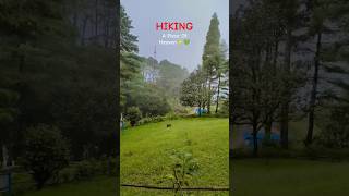 Hiking Through The Beautiful Nature travel shortvideo shortsviral [upl. by Wang]