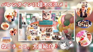 バレンタインに超オススメ！ねこチョコ、大量紹介♪（前編） [upl. by Milissa]