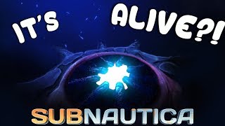 Subnautica  ITS ACTUALLY ALIVE  The Kharaas HUGE Storyline Update amp LINK  Full Release 10 [upl. by Velleman775]