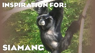 6 Real Siamang Habitats Planet Zoo Inspiration [upl. by Yleoj490]