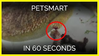 The Video PetSmart Doesnt Want You to See [upl. by Raseda]