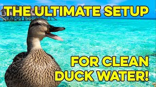 How to DIY Keep Your Duck Pool Clean and Easy to Maintain [upl. by Yanaton957]