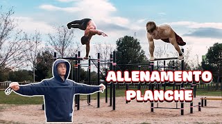 ALLENAMENTO PLANCHE [upl. by Aytnahs]