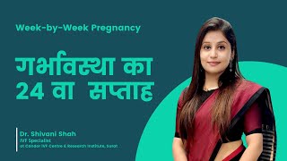 24th Week Pregnancy  24वें सप्ताह की गर्भावस्था  Pregnancy week by week  DrShivani Shah [upl. by Taft]