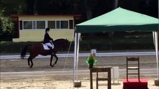 Ripresa Dressage E 206 ed 2016 [upl. by Ecitnerp]