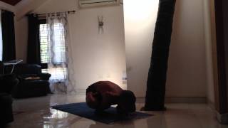 Karandavasana Ashtanga Yoga yuya sarashina [upl. by Eiramlatsyrc]