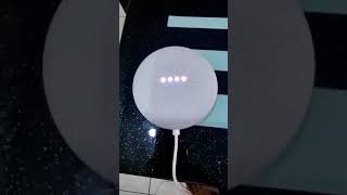 Unboxing Google Nest Mini 2nd gen [upl. by Dnaloy]