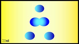 MITOSIS  Cell division explained in Tamil [upl. by Zola]