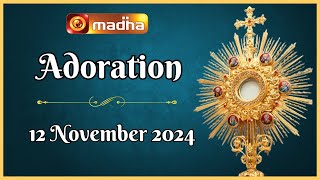 🔴 LIVE 12 November 2024 Adoration 1100 AM  Madha TV [upl. by Ardnuhsor]