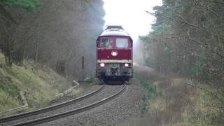 BR 232 1586 der LEG Ludmilla mit Kolomna Sound und Kesselzug am Haken bei Schönow HD [upl. by Yemorej]