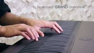 Seaboard GRAND Overview [upl. by Payton958]