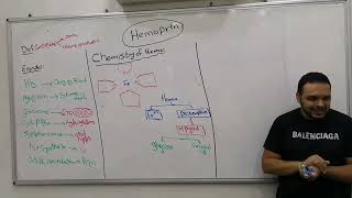 1 Hemoptotein Hemoglobin amp Myoglobin القصر العينى [upl. by Terpstra]