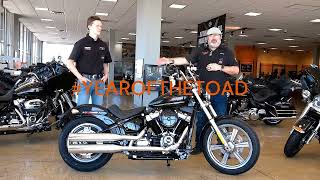 2024 Softail Standard with Bo [upl. by Nelie]