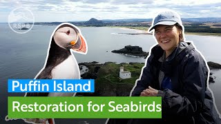 See how RSPB Scotland is working to help Puffins and other seabirds in the Firth of Forth [upl. by Ayomat523]