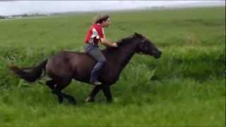 500m Bareback flatout gallop on Horse [upl. by Ellevart225]