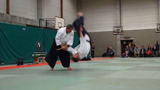 Aïkido Belgique Nivelles Luc Patriarche 5è dan Aikikaï [upl. by Ahtanamas]