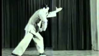 WUDANG Tai Chi Chuan et Qi Gong  EXTRAIT DE COURS [upl. by Amihc]