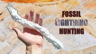 Finding STUNNING Fossil Lightning Strikes Fulgurites at a Sand Mine in Central Florida w SEGS [upl. by Stilwell]