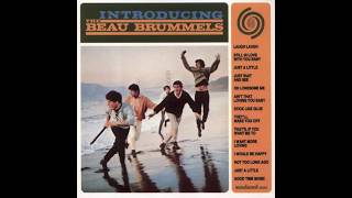 The Beau Brummels Laugh Laugh [upl. by Aserahs985]