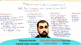 Polysaccharide  properties  classification  function  Examples  class 11  in Urdu Hindi [upl. by Ocsicnarf]