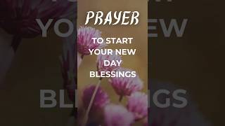 😇 PRAYER TO START YOUR NEW DAY WITH BLESSINGS prayer blessings god jesus shorts [upl. by Leelah]