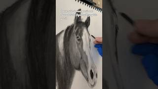 Portrait of Horse  Charcoal Drawing horselover portraitart horselovers portraitlove [upl. by Juliane]