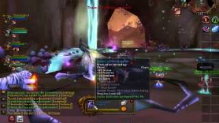 World of Warcraft The Underbog Black Stalker Boss [upl. by Bywoods]