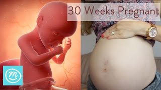 30 Weeks Pregnant What You Need To Know  Channel Mum [upl. by Hagi]