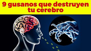 9 parásitos que destruyen tu cerebro [upl. by Orapma]