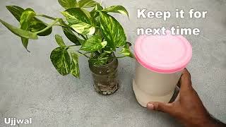 Best natural fertilizer for any water plants Homemade free fertilizer youtube [upl. by Melborn]