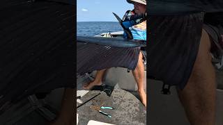 Monster Fish  How did he Get it shorts fishing billfish sailing ocean new today boat new [upl. by Dnallor390]