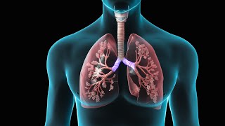 Spirometry  Test for Lung Function  Nucleus Health [upl. by Aititel]