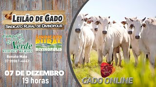 🐂 LEILÃO DE GADO SINDICATO RURAL DIVINÓPOLISMG🎥  07122021 [upl. by Zsuedat240]