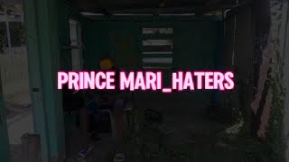 PRINCE MARIHATERS VISUALIZER [upl. by Sennahoj]