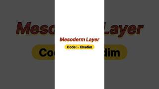 Mesoderm layer [upl. by Ijok]