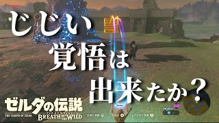 【ブレワイ】絶対にティアキン発売日までにクリアして編集も終わらせるブレス オブ ザ ワイルド 【ゆっくり実況】 [upl. by Haye]