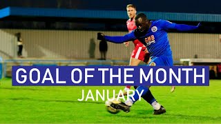 Goal of the Month  January [upl. by Ayalahs]