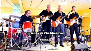 FRIENDS OF THE SHADOWS  Shindig [upl. by Parsaye]