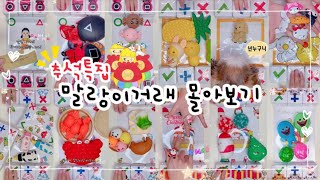 🔥추석특집🔥신상 말랑이 팝잇 거래🎵 22개 모음  collection of 22 fidget toys trading  말랑이랑 [upl. by Yemaj]