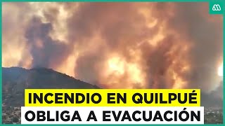 Incendio forestal afecta a Quilpué Solicitan evacuar por avance de fuego [upl. by Gavrielle]