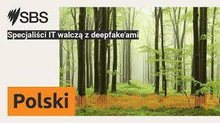 Specjaliści IT walczą z deepfakeami  SBS Polish  SBS po polsku [upl. by Liba]