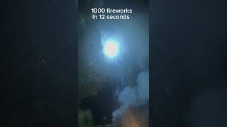 Had to x100 speed fast firework [upl. by Reteip]