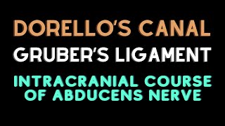 Intracranial course of abducent nerve Dorellos canal Grubers ligament [upl. by Ainotal]