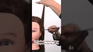 ✂️ Técnicas de corte de cabello en ángulo 180 grados para diseño escalonado  Curso peluquería [upl. by Lerej]