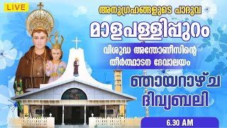 10 NOVEMBER 2024  HOLY MASS  ST ANTONYS PILGRIM CHURCH MALAPALLIPURAM [upl. by Atsylac]